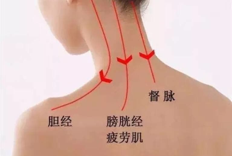 人體經(jīng)絡圖